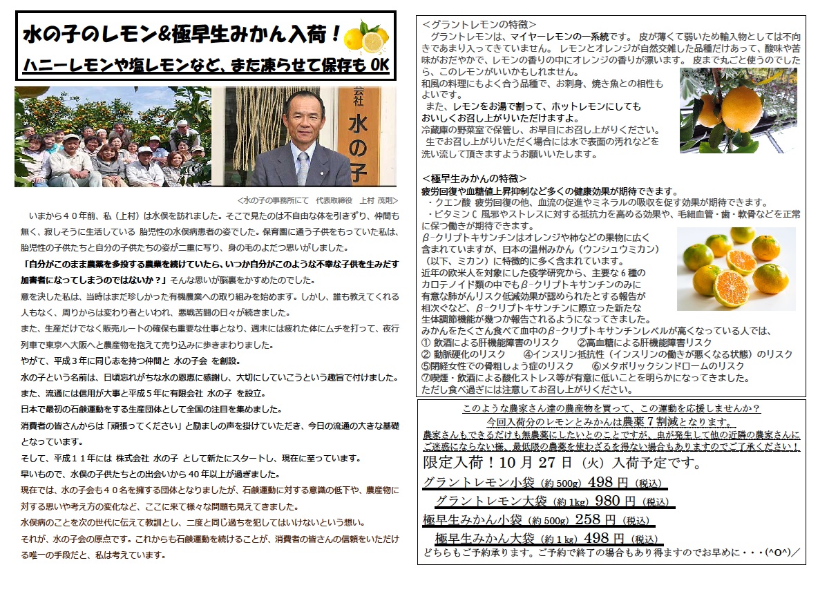 セール情報10