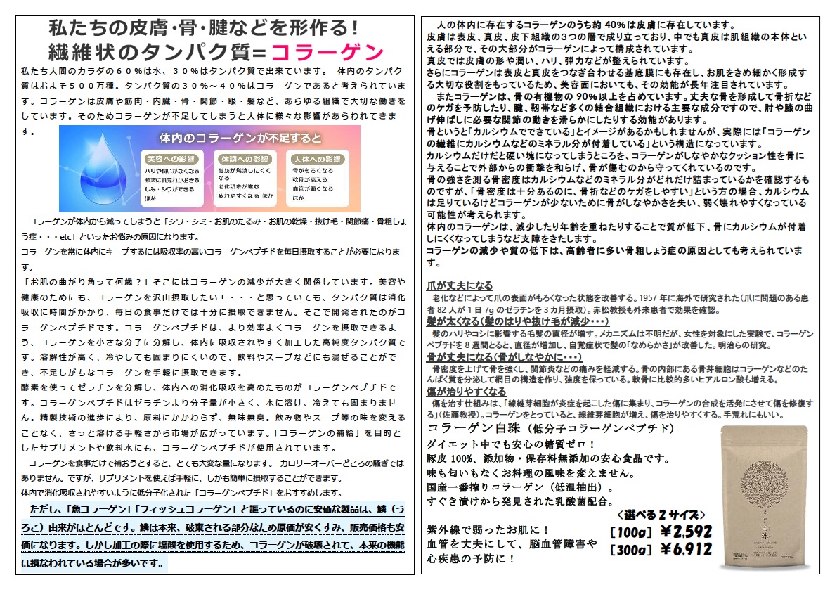 セール情報4