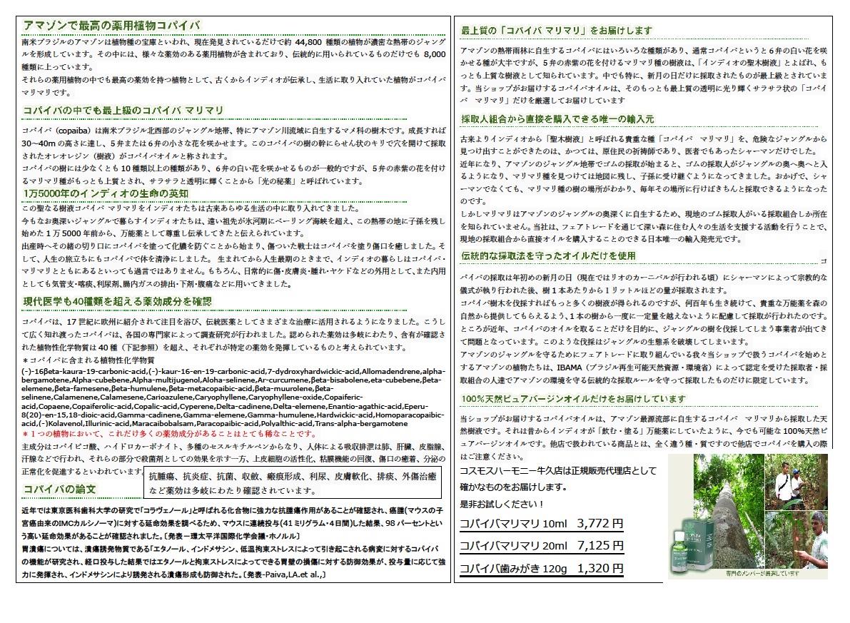 セール情報8